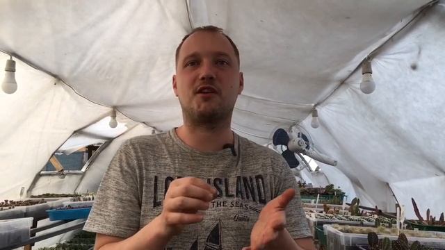 Как вылечить кактусы и суккуленты? смотреть онлайн