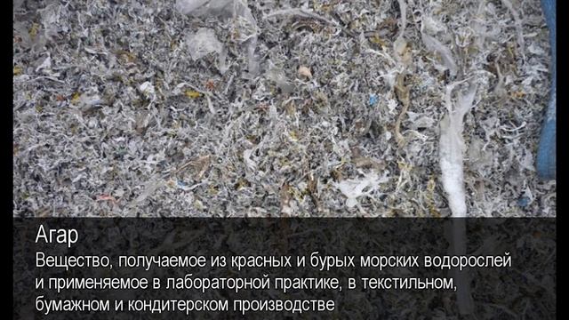 Агар.Толковый Видеословарь русского языка смотреть онлайн