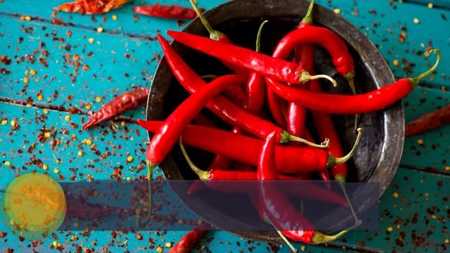 Мастерская Талантов