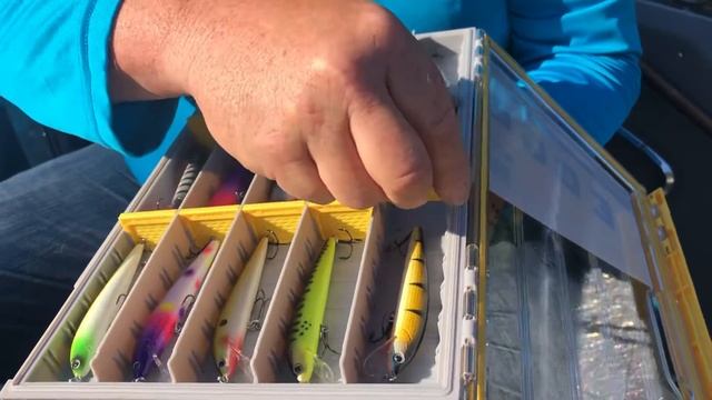 Ready To Go, Ready To Troll, #Planoedge смотреть онлайн