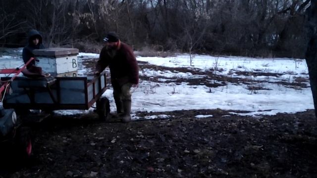 Жизнь в деревне/Перевозим пчёл из омшаника/Улыбаемся и пашем!!! смотреть онлайн