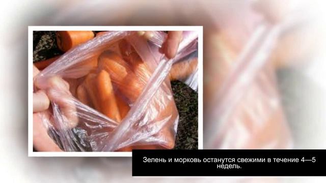 Продукты в холодильнике. Правильное хранение продуктов . Часть 1 смотреть онлайн