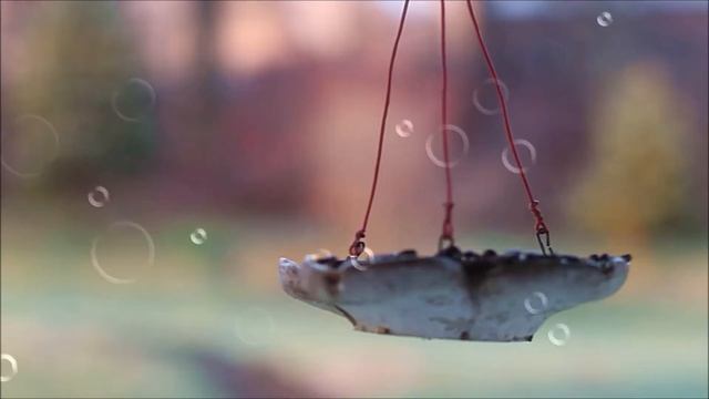 Этнические стереотипы смотреть онлайн