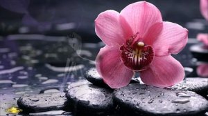 Волшебная композиция. "Хрустальная грусть"Музыка Алексея Захаренко