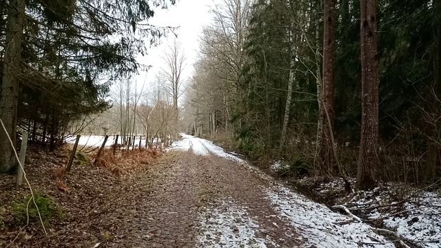 Спортивная прогулка...Где проходила старая железная дорога...27.02.2023 смотреть онлайн