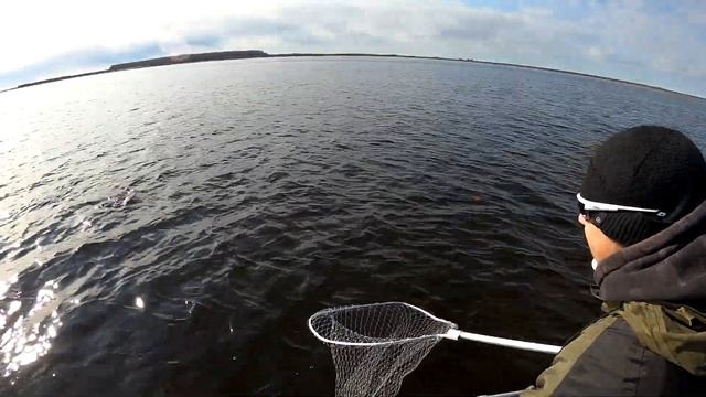 За щукой 1-го мая на Нарвское водохранилище. Сезон 2021. смотреть онлайн