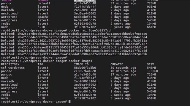 Cloud Computing - Lab 4.3: Extending a Docker Image смотреть онлайн