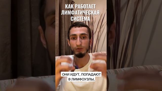 Как работает лимфатическая система смотреть онлайн