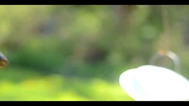 Nikon D7000 Test смотреть онлайн