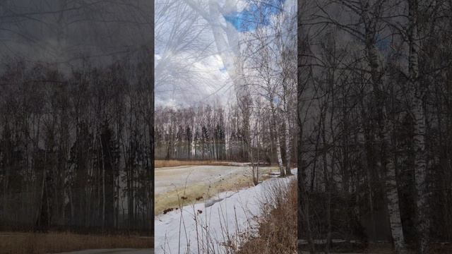 Весна день 3 апреля 2024