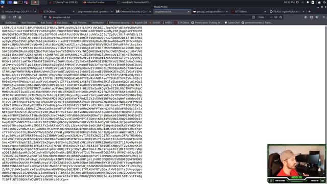 InfoSec Prep: OSCP VulnHub VM Walkthrough - Video 2021 with InfoSec Pat смотреть онлайн