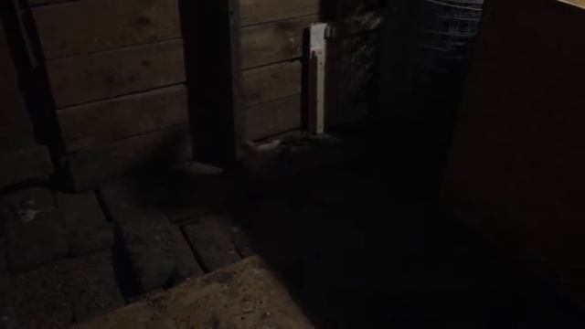 Цыпки идут спать смотреть онлайн