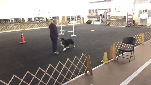 Bocce 3-8 смотреть онлайн