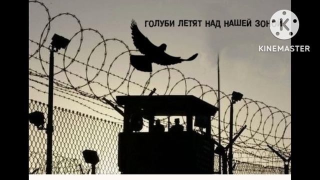 Голуби летят над нашей зоной... смотреть онлайн