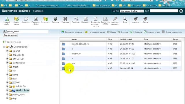 Сайт на WordPress на субдомене на cPanel смотреть онлайн