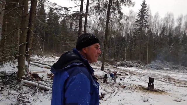 Вырубка леса смотреть онлайн