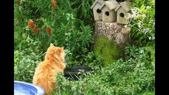 Пора на дачу!.wmv смотреть онлайн