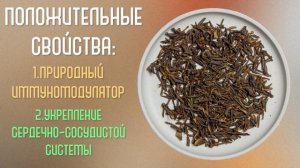 Чай саган-дайля: полезные свойства, применение, рецепты