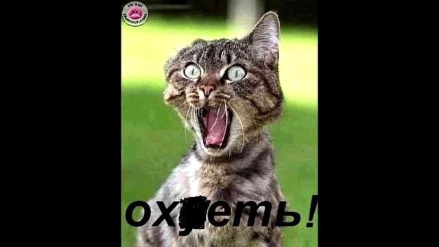 ХОУМ. это не проблема(шантаж) смотреть онлайн