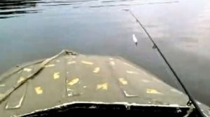 Лодка Романтика с Ветерком8   троллинг