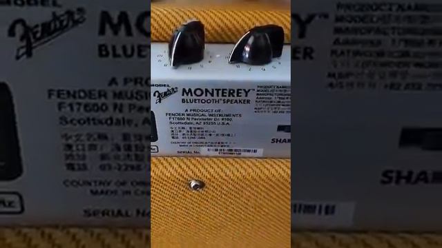 กระเป๋าใส่ลำโพง fender Monterey แบบหนัง สีดำ (ใส่ได้พอดีครับ) จาก Easicase смотреть онлайн