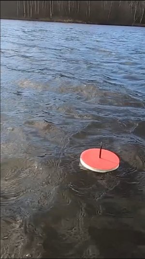 Щука переворачивает кружки ? Рыбалка, ловля осенью #shorts