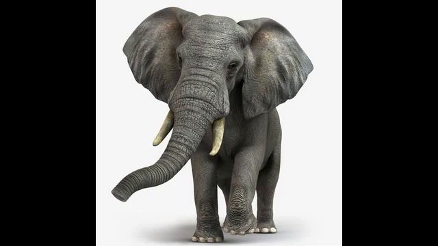 Ohangaron Shahar Axborot Kutubxona Markazi. Audio Ertak.