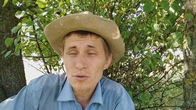 Печальные события в крольчатнике. Всё старания пропали?