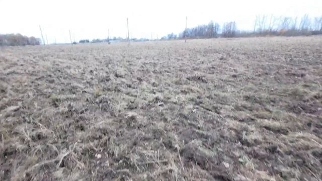 посев многолетних трав.mp4 смотреть онлайн