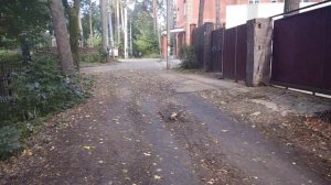 Расторгуево, небольшая прогулка 1