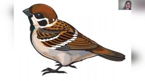 Лепим птичку