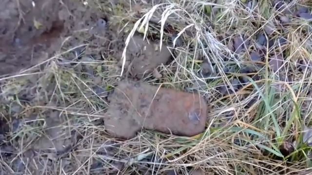 Примета работает.Нашли лопату найдете и металл.МД 4030 смотреть онлайн