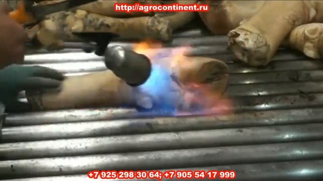 Обработка свиных ног смотреть онлайн