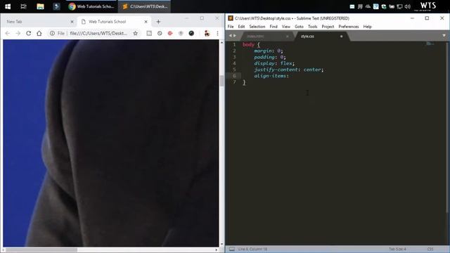 CSS filter grayscale hover style | Web Tutorials School смотреть онлайн