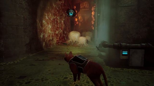 СЮЖЕТ ИГРЫ Stray | Стрей (ИГРА ПРО КОТИКА) // ИгроСюжет