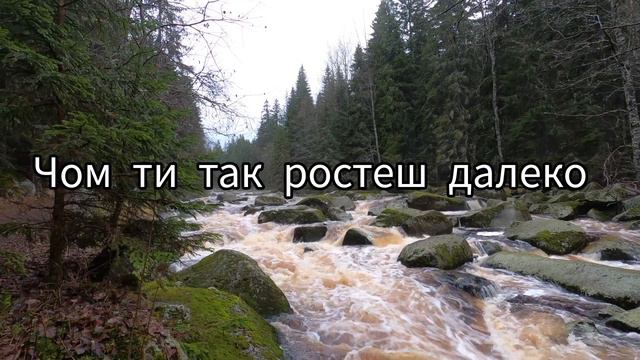 Ой смереко, розкажи мені смереко. Популярні українські пісні