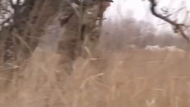 Прости мене мати. смотреть онлайн