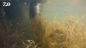 ЩУКА ПОСЛЕ НЕРЕСТА / АЛЕКСЕЙ ШАНИН