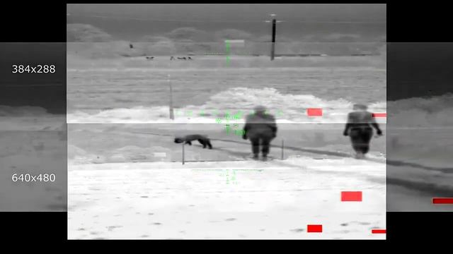 Тепловізійні приціли лінійки STRIGES PRO L Порівняння 640 та 384 матриці смотреть онлайн