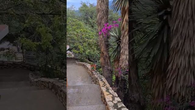 Мексика 2021. Куда поехать из Мехико на два дня. Часть 2