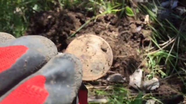 Оренбург. Зауральная роще. Поиск с металлоискателем смотреть онлайн