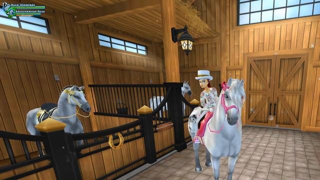 Star Stable ответы на вопросы №4