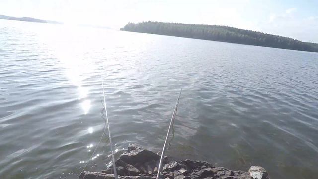 Лещ Судак Рыбалка На Волчихенском ВДХ смотреть онлайн