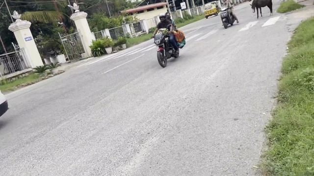 ПОЧЕМУ МЫ ВЫБРАЛИ ПУТТАПАРТИ? смотреть онлайн