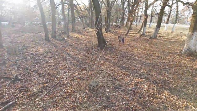 муди классные! смотреть онлайн