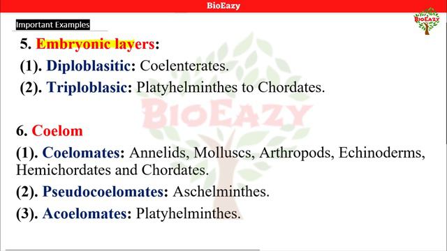 Examples Of Biological Classification | Monera | Protista | Fungi | Plantae | Animalia | Algae| Ami