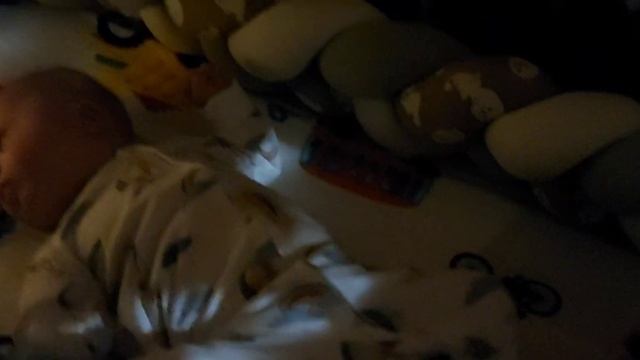 Влог "Я поехала на дачу одна с Максимом первый раз/Макс первый раз пробует...??11-13 августа 2022." смотреть онлайн