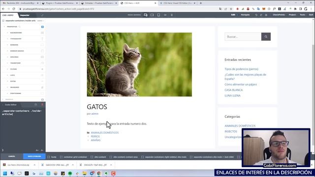 ➡️ Review CSS HERO en Español ➜ Editar CSS de Página Web en WordPress SIN saber Programar смотреть онлайн