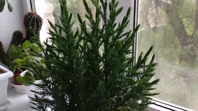 Ремонтный Мастер