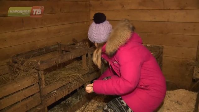 Карта отдыха: Домик в деревне! смотреть онлайн